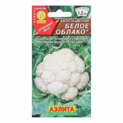 ���� ������. ������� ������� 