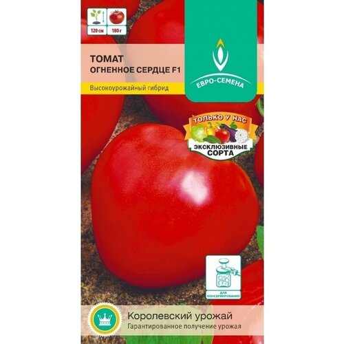 ���� ����� �������� ������ F1. ������. 1 �����-10 ��. ����������� ������ ��� ��������� ������ � ��������� ������. �������� ������� �� 120 ��. ����� ����� �� 180 ��., ������ �� 69 ���