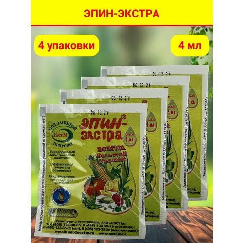 ���� ����-������, ������ �� 307 ���