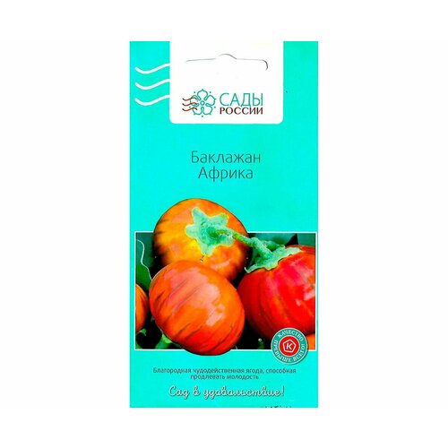 ���� ��������� ������ 10�� (���� ������), ������ �� 173 ���