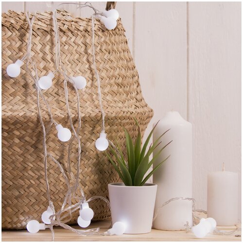 ���� �������� 