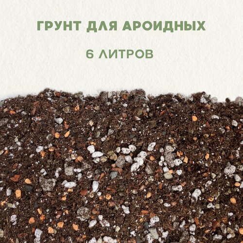 ���� ����� ��� ��������, ��� ��������� ��������. ����� ��� ������ � ������. 6 ������, ������ �� 1940 ���