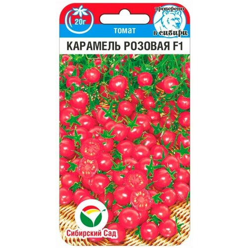       F1 15   ( )   ,   58 