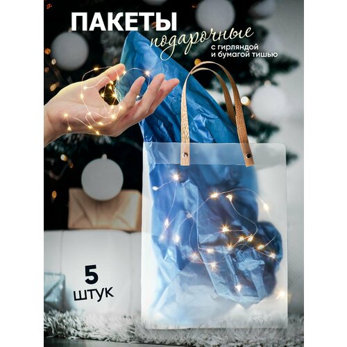 ���� ���������� ������ ���������� ����� � ����������, ������ �� 1503 ���