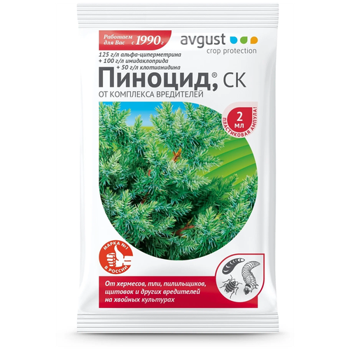 ���� Avgust �������� ������ ��������� ���������� �� ������� ��������� �������, 2 ��, ������ �� 70 ���