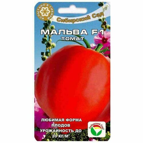 ���� ������ ����� ������ F1, ������������, �����������, (��������� ���) 15��, ������ �� 65 ���