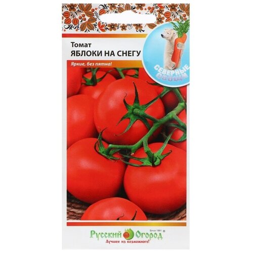 ���� ������ ����� 