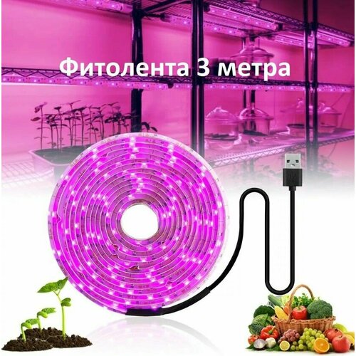 ���� ��������� ��� ������� � �������� ������������ 3 �����, ������ �� 759 ���