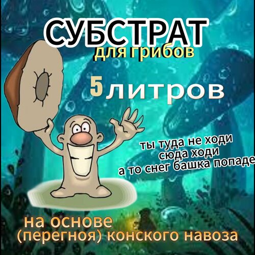 ���� �������� ��� ������ - 5�., ������ �� 1258 ���