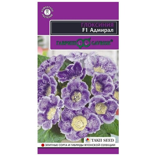 ���� ������ ��������� ������� F1, ������ �� 337 ���