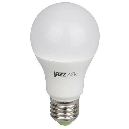     Jazzway PPG A60 Agro 15w FROST E27 IP20 5025547 16092192   -     , -, 