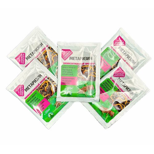 ���� ��������� 25�� / 5��, ������ �� 305 ���