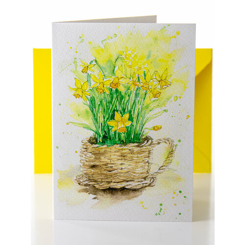 ���� ��������� �������� 