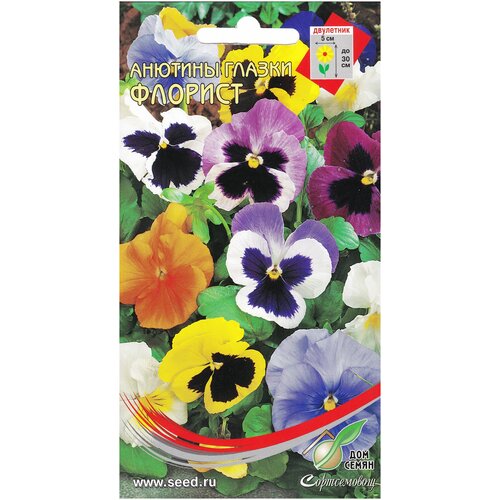 ���� ������� ������ �������, 40 �����, ������ �� 242 ���