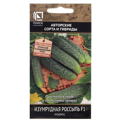 ���� ������ ������ 