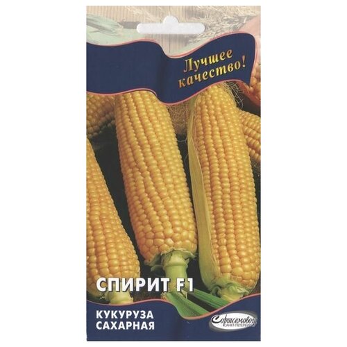 ���� �������� �������� ������ F1, 8 �����, ������ �� 258 ���