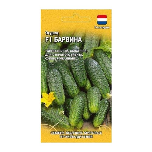 ���� ������. ������ 