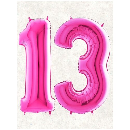 ���� ����� �����: ����� 13 ���, 100 ��, ������ �� 398 ���