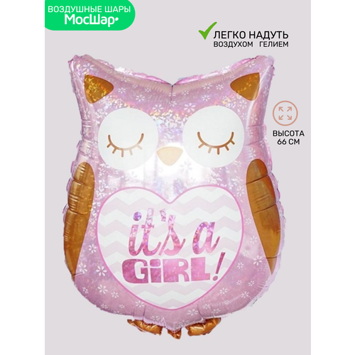 ���� ��������� ��� �������������� �� �������, �������� �������, ������� ���� 66 ��, ������, ������ �� 546 ���