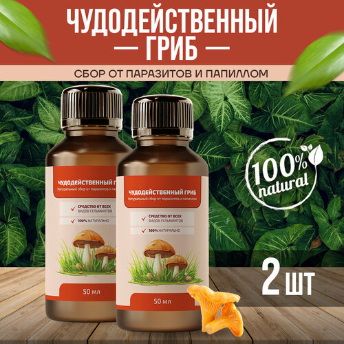 ���� ��������������� ���� �� ��������� � �������� ������ 50 �� 2��, ������ �� 780 ���