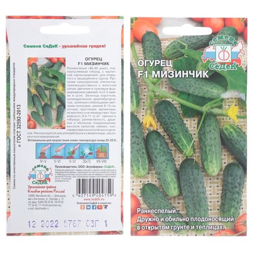 ���� ������ ������, �������� F1, 0.3 �, ������� ��������, �����, ������ �� 59 ���