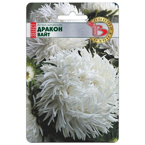 ���� ����� ������ ����, ������ �� 124 ���