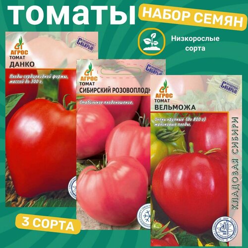 ���� ����� ����� ����������� ������� / ��������� ������������� , ��������, �����, ������ �� 311 ���