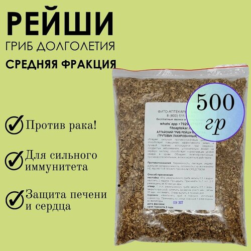 ���� ���� ����� 