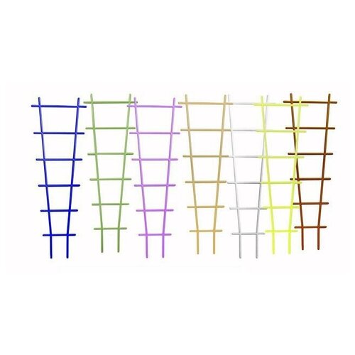 ���� ����� ��� �������� 