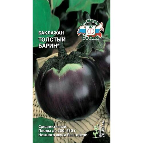 ���� ������ �������� ������� �����, ������ �� 49 ���