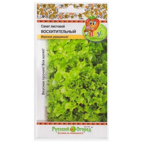 ���� ������. ����� �������� 