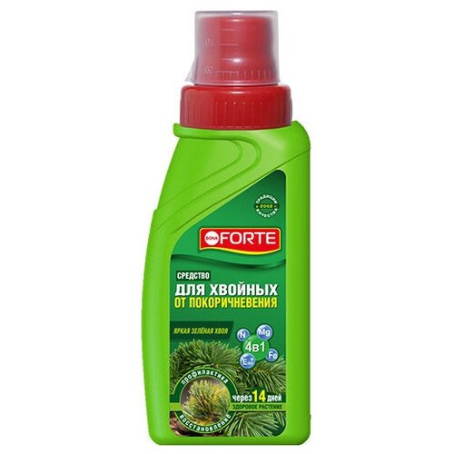 ���� �������� ��� ������� �� �������������� 285�� Bona Forte, ������ �� 380 ���