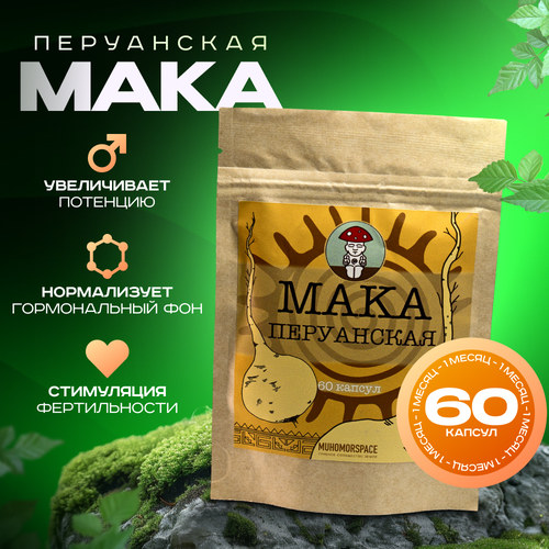 ���� ��������������� ������ MUHOMORSPACE ���������� ����, �������� � ��������, ����� �� �����, 60 ������ �������� � ������, ������ �� 960 ���