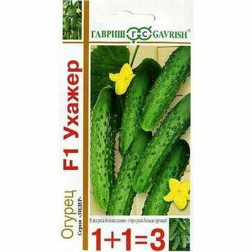     F1, , () 20 1+1,   100 