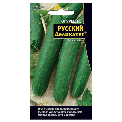 ���� ������ ������ 