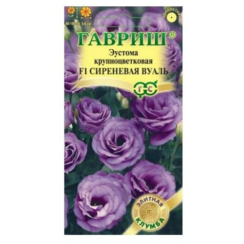 ���� ������. ������� ��������������� 