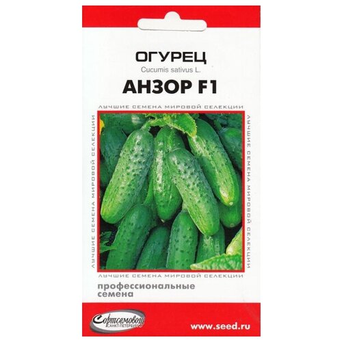 ���� ������ ����� F1, 6 �����, ������ �� 277 ���