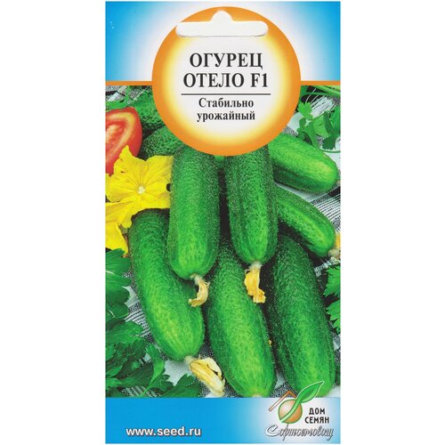 ���� ������ ����� F1, 10 �����, ������ �� 235 ���