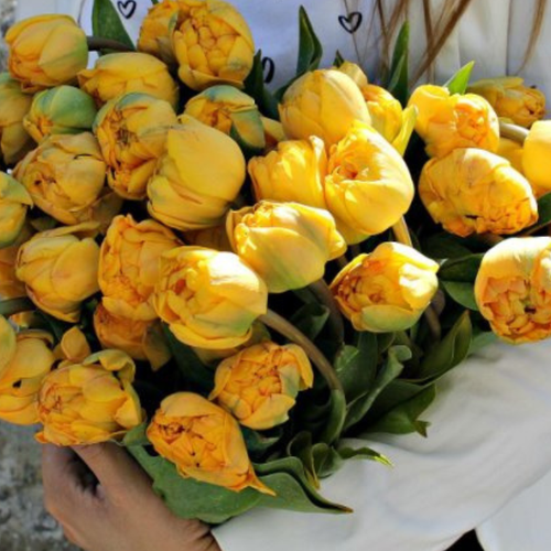 ���� �������� �������� DOUBLE TROUBLE ( 5 �� ), ������ �� 388 ���