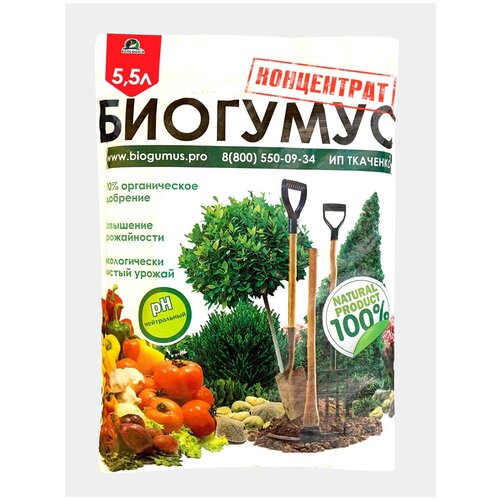 ���� ��������� ������������ �������� ����������, 5,5�, 5 ��, ������ �� 1970 ���