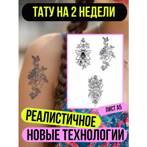 ���� ���� ���������� �������������� ��������, ������ �� 411 ���