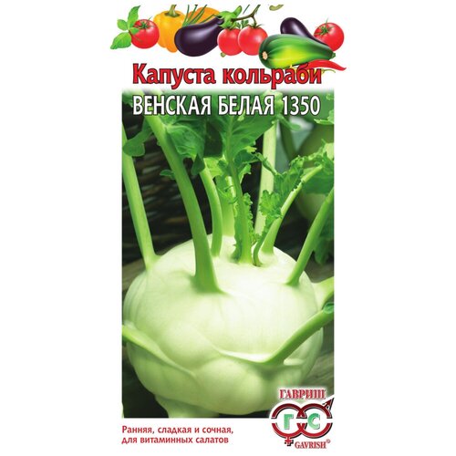 ���� ������. ������� �������� 