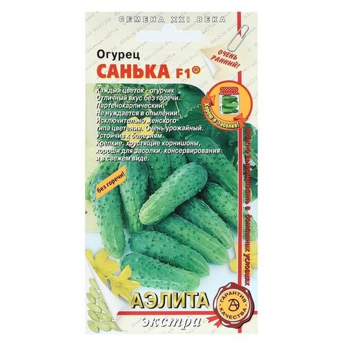 ���� ������ ������ 