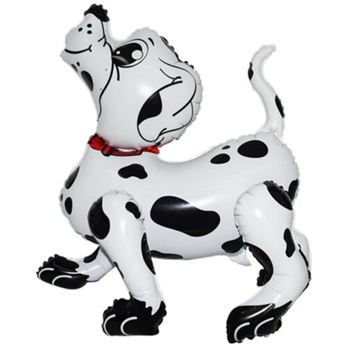 ���� ��� (22''/56 ��) ������� ������, ������ ����������, 1 ��. � ����., ������ �� 499 ���