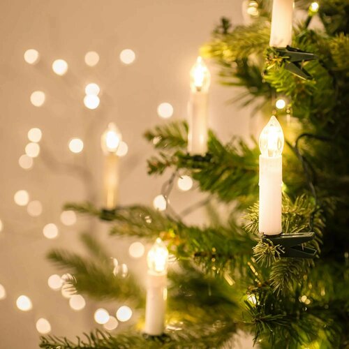 ���� ����� ��� ����, ������������� ��������, ���������� �������� �����, 5 �, ������ ������, ���������� ������, ������ �� 1750 ���