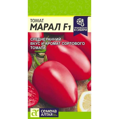 ���� ������ ����� ����� F1 10�� ����� ������ (������ �����), ������ �� 125 ���