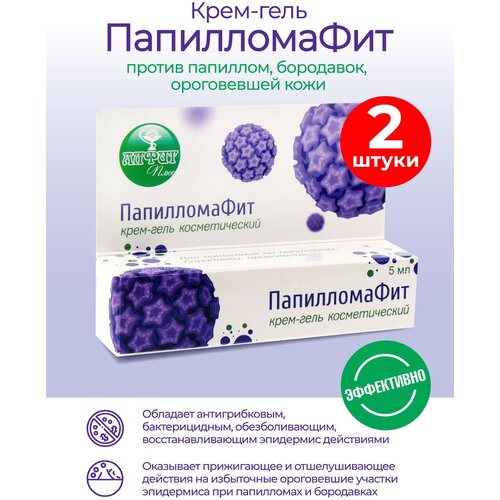 ���� ���� ���� ����� ���� 