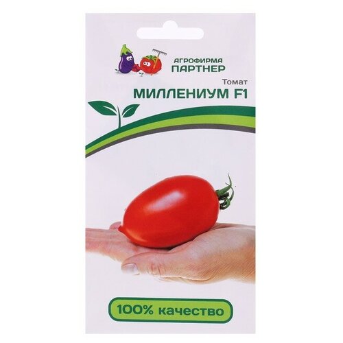 ���� ������ ������ 