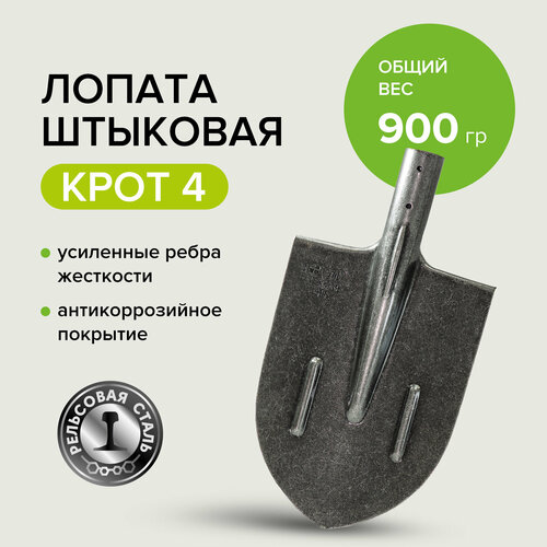 ���� ������ �������� ��� �������, ��������� ����� ����, ������ �� 667 ���