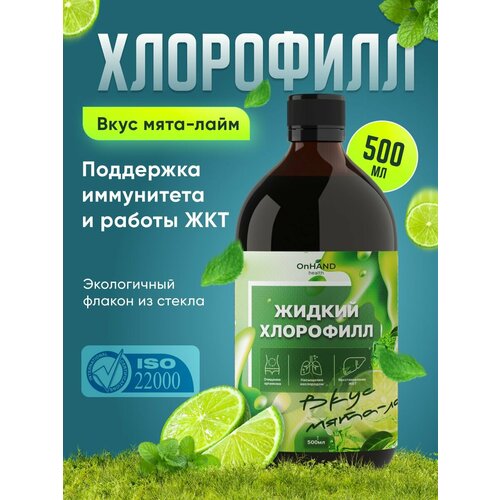 ���� ��������� ������ ������� 